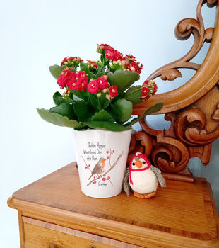 Robin Memorial Plant Pot. Personalised Flowerpot, 4 of 5