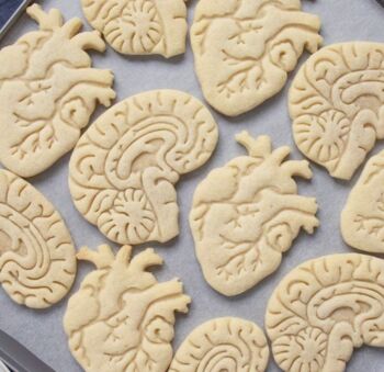 Anatomical Heart And Brain Cookie Cutter Set, 2 of 3