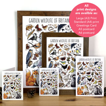 Garden Wildlife Of Britain Greeting Card, 2 of 8