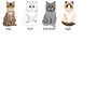 Cat Illustrated Personalised Mug Cat Lover Gift, thumbnail 6 of 6