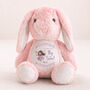 Personalised Big Sister Fairy Bunny Gift, thumbnail 1 of 6