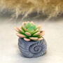 Concrete Shell With Faux Cactus Ornament, thumbnail 8 of 10