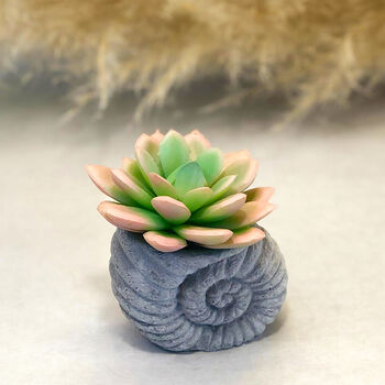 Concrete Shell With Faux Cactus Ornament, 8 of 10
