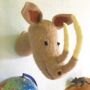 Children's Wall Mounted Rhino Head, thumbnail 1 of 2