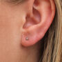 3mm Sterling Silver Grey Pearl Stud Earrings, thumbnail 2 of 3