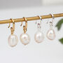 Gold Plated Or Silver Freshwater Pearl Drop Earrings, thumbnail 2 of 4