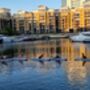 Paddle Boarding Yoga For One, thumbnail 12 of 12