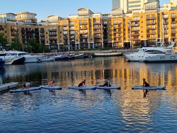 Paddle Boarding Yoga For One, 12 of 12