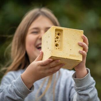Yellow Beepot Mini Bee Hotel And Planter Garden Gift, 4 of 10