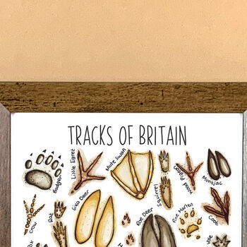 Animal Tracks Of Britain Wildlife Print, 10 of 10