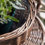 Hand Woven Grey Wash Wicker Tea Cup Planter, thumbnail 6 of 9