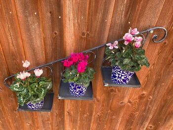 Grey Metal Wall Mounted Planter Stand Vintage Style, 3 of 11