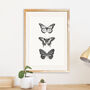 Butterfly Botanical Illustration Print, thumbnail 2 of 4