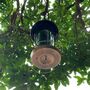Dual Seed And Nut Bird Feeder With Copper Finish, thumbnail 7 of 9