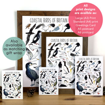 Coastal Birds Of Britain Art Blank Greeting Card, 3 of 11