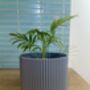 3D Printed Corrugated Plant Pot – Strong And Lightweight, thumbnail 7 of 9