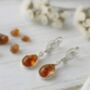 Elegant Baltic Amber And Sterling Silver Drop Earrings, thumbnail 3 of 3
