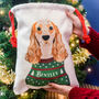 Personalised Christmas Jumper Dog Present Sack, thumbnail 11 of 12