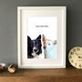 Personalised Dog Portrait Colour Illustration, thumbnail 5 of 7