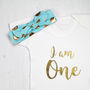 I Am One First Birthday Baby Girl Outfit, thumbnail 1 of 6