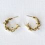 Twisted Vine Hoop Earrings, thumbnail 3 of 3