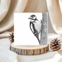 Woodpecker – Hand Drawn Nature Greeting Card Illustration, thumbnail 1 of 6