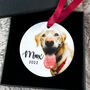 Personalised Dogs First Christmas Bauble Decoration, thumbnail 10 of 10
