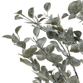 Faux Eucalyptus In Ceramic Pot Ivory, 4 of 6