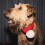 Hand Knitted And Personalised Dog Scarf, thumbnail 1 of 12
