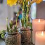 Ribbed Glass Jar With Spring Bulbs Muscari, Set Of Two, thumbnail 2 of 7