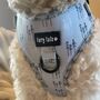 'Feeling Pine' Dog Harness Set, thumbnail 3 of 12