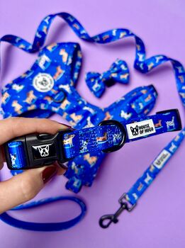 Skateboarding Dogs Harness Lead Collar Waste Bad Set Bundle, 4 of 11