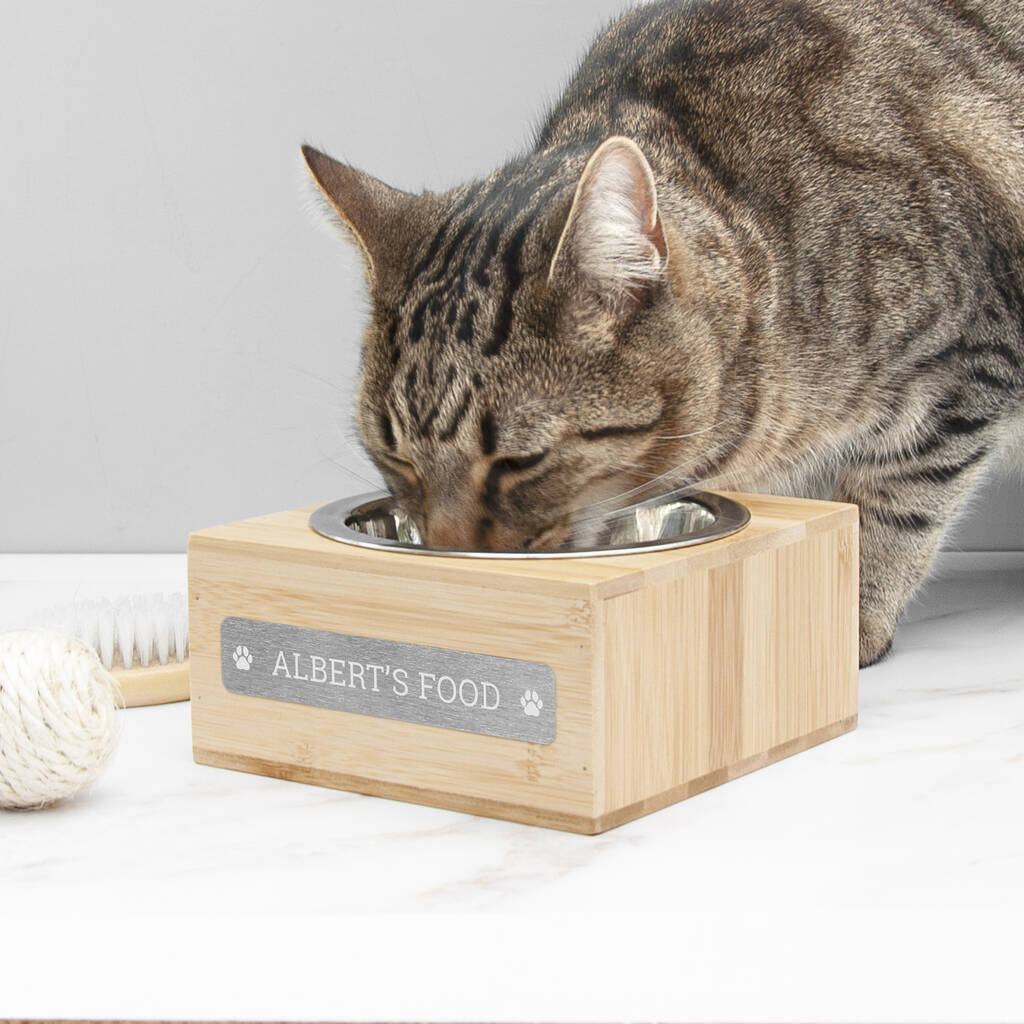 Personalised Small Bamboo Pet Bowl For Cats And Dogs, 1 of 5