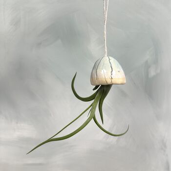 Ceramic Jellyfish Caput Air Plant Hanging Handmade In The UK, 3 of 6