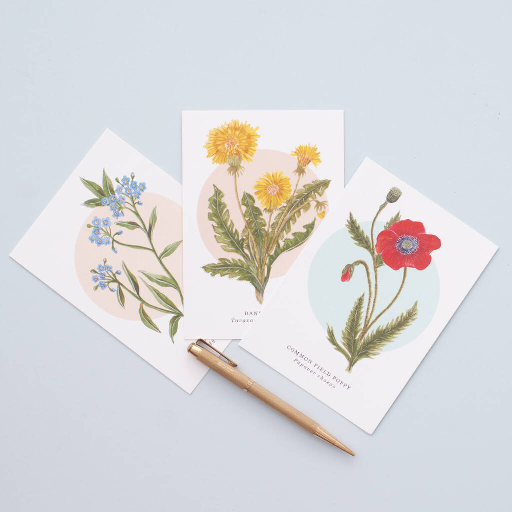 British Wild Flowers Illustrated Notelet Set, 1 of 12
