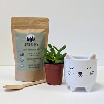 Plant Your Own Succulent Kit With Cat Pot, 2 of 5