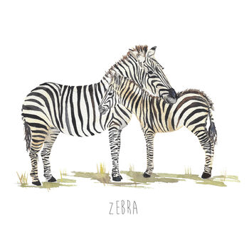 Zebra Hand Painted Greetings Card, 2 of 2