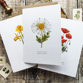 Set Of 10 Different Wildflower Notecards And Envelopes, 2 of 7