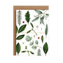 White Greenery 'Merry Christmas' Card, Gold Foil, thumbnail 2 of 3