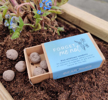 Forget Me Not Seedballs, 2 of 4