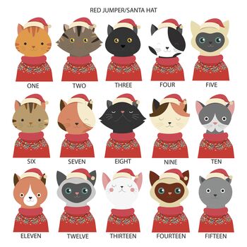 Personalised Christmas Cat Hanging Decoration, 4 of 7
