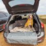 Personalised Luxury Dog Drying Coat, thumbnail 10 of 12