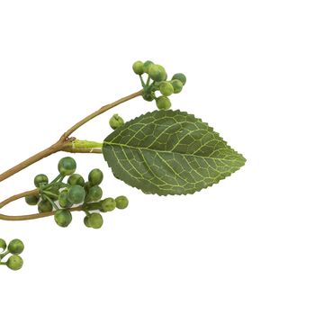 Faux Stem Berry Foliage Green 12pk, 3 of 5