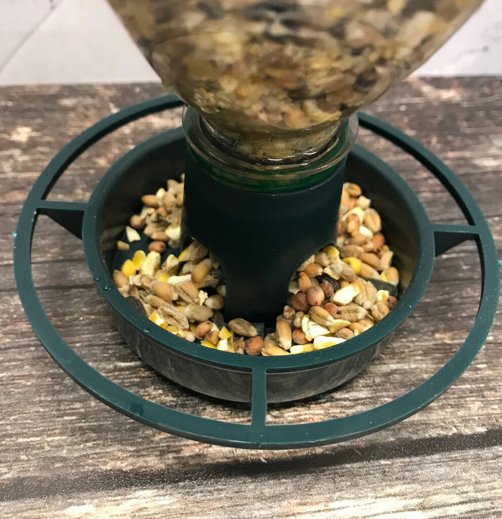 Eco Bottle Top Bird Feeders By Garden Selections