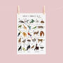 The A To Z Of The Jungle Print, thumbnail 3 of 6