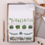 Succulents Writing Paper Gift Box Set, thumbnail 1 of 4