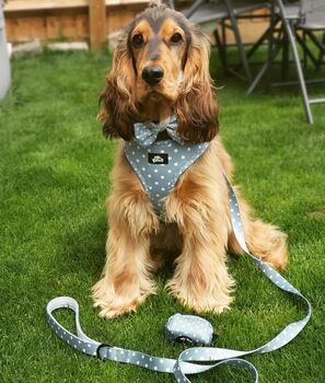 Dog Harness Set | Blue Polka Dot, 8 of 8
