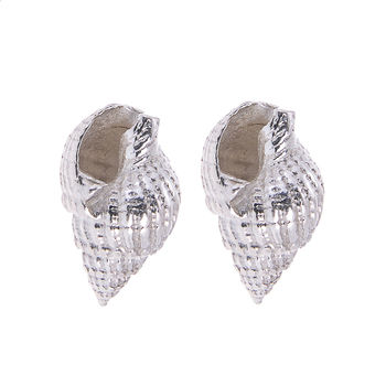 Silver Seashell Stud Earrings, 6 of 10
