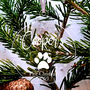 Personalised Pet First Christmas Hanging Decoration, thumbnail 1 of 2