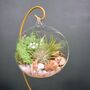 Diy Air Plant Terrarium Kit Hanging Terrarium Gift Forest Green With Optional Gold Stand, thumbnail 3 of 7